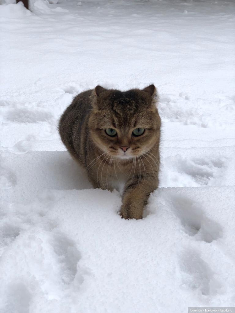 Обезьянка — Интересные игрушки и фигурки (разное): редкие (фото 6)