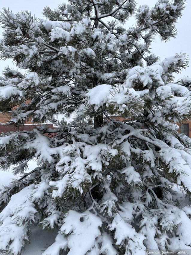 Обезьянка — Интересные игрушки и фигурки (разное): редкие