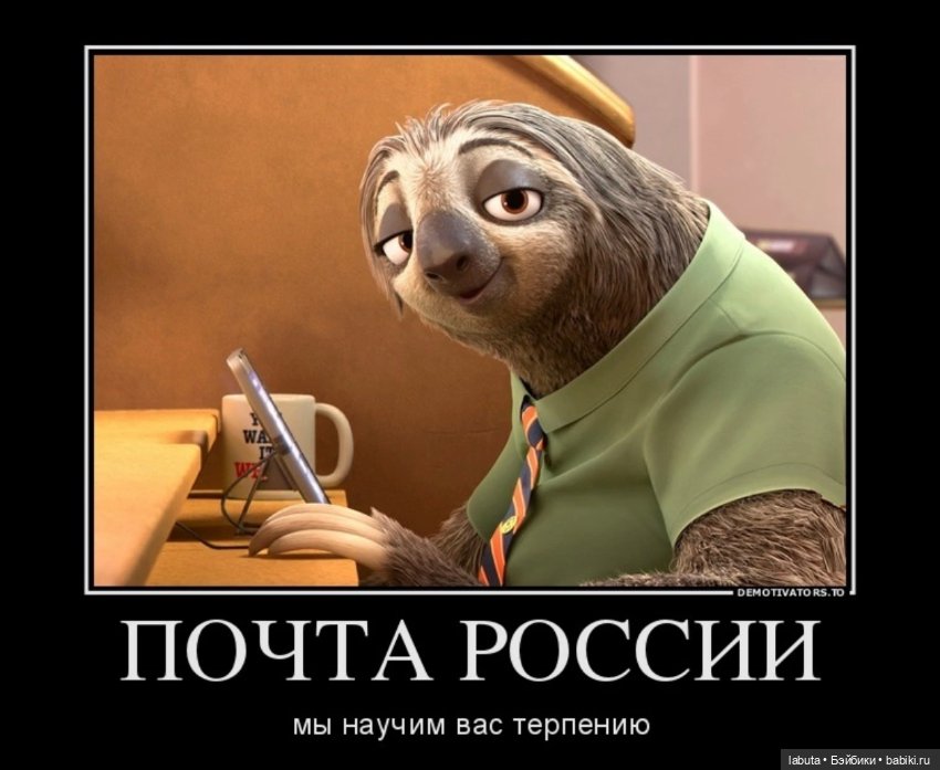 Позитивного вам вечера — Болталка и разговоры обо всем: жизнь (фото 3)