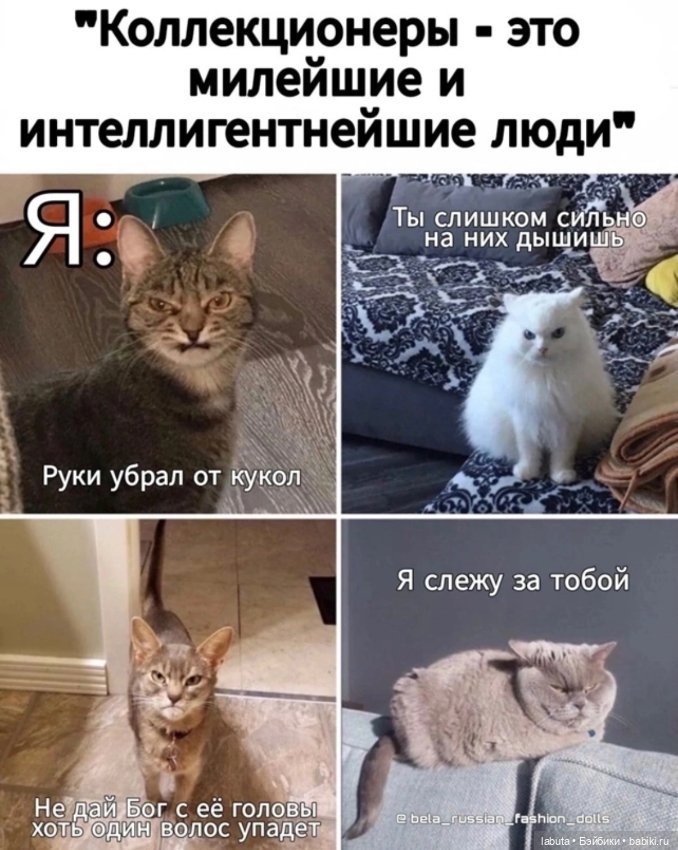 Позитивного вам вечера — Болталка и разговоры обо всем: жизнь (фото 7)