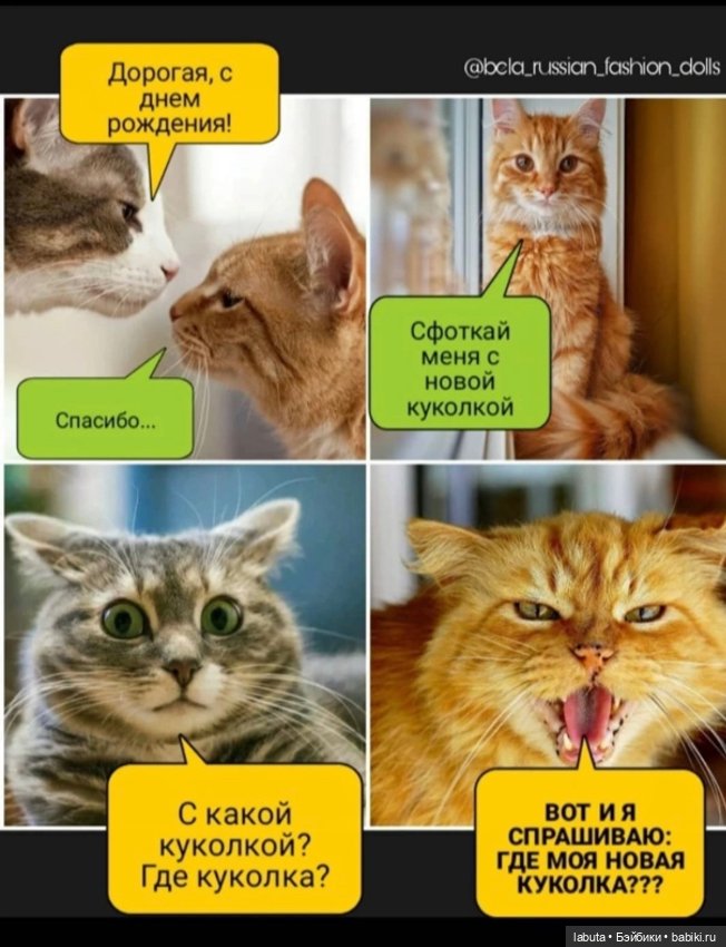 Позитивного вам вечера — Болталка и разговоры обо всем: жизнь