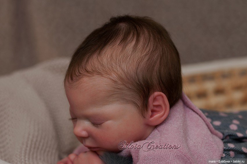 Teddy скульптора Ashten Bryant, автор прототипа Silvia Ezquerra