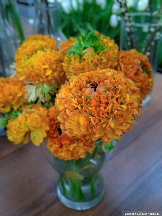 Репетиция весны с Асей — Российские куклы Весна