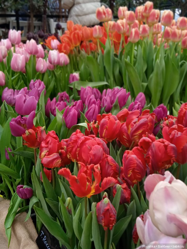 Репетиция весны с Асей — Российские куклы Весна