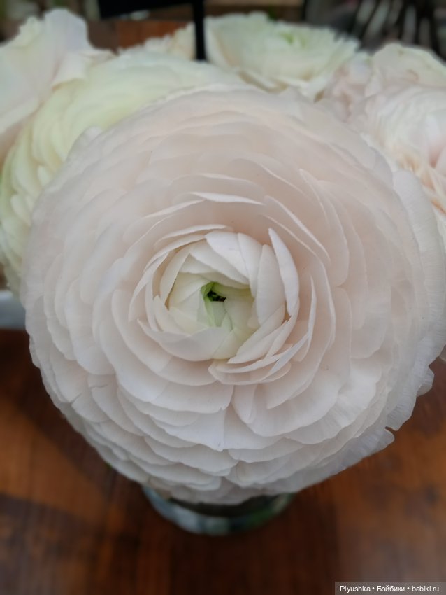 Репетиция весны с Асей — Российские куклы Весна