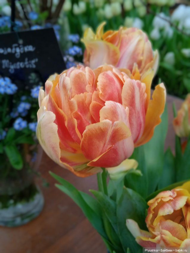 Репетиция весны с Асей — Российские куклы Весна