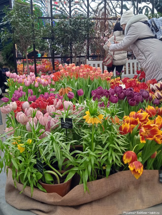 Репетиция весны с Асей — Российские куклы Весна (фото 10)