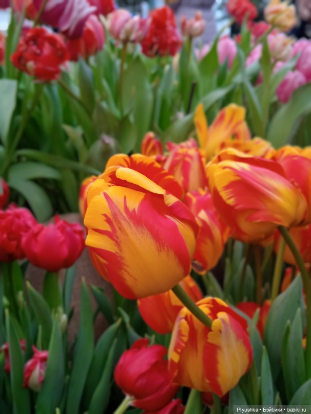 Репетиция весны с Асей — Российские куклы Весна