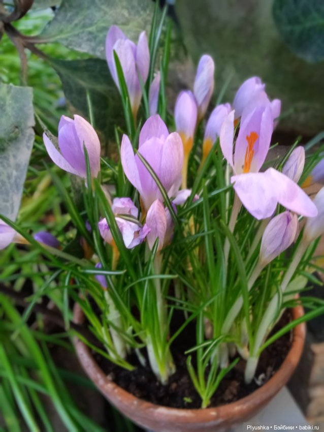 Репетиция весны с Асей — Российские куклы Весна