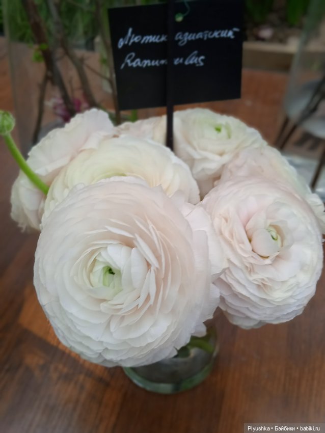 Репетиция весны с Асей — Российские куклы Весна