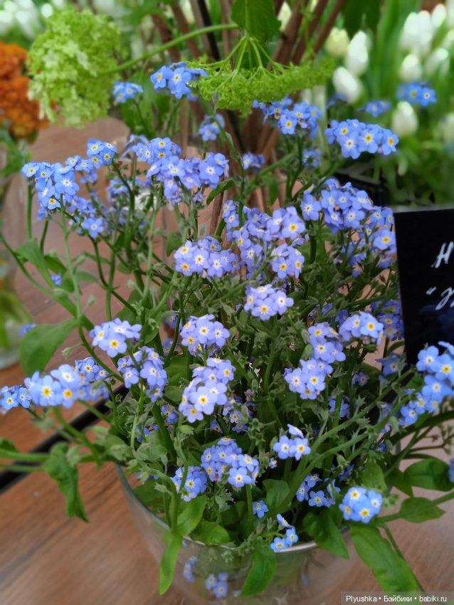 Репетиция весны с Асей — Российские куклы Весна