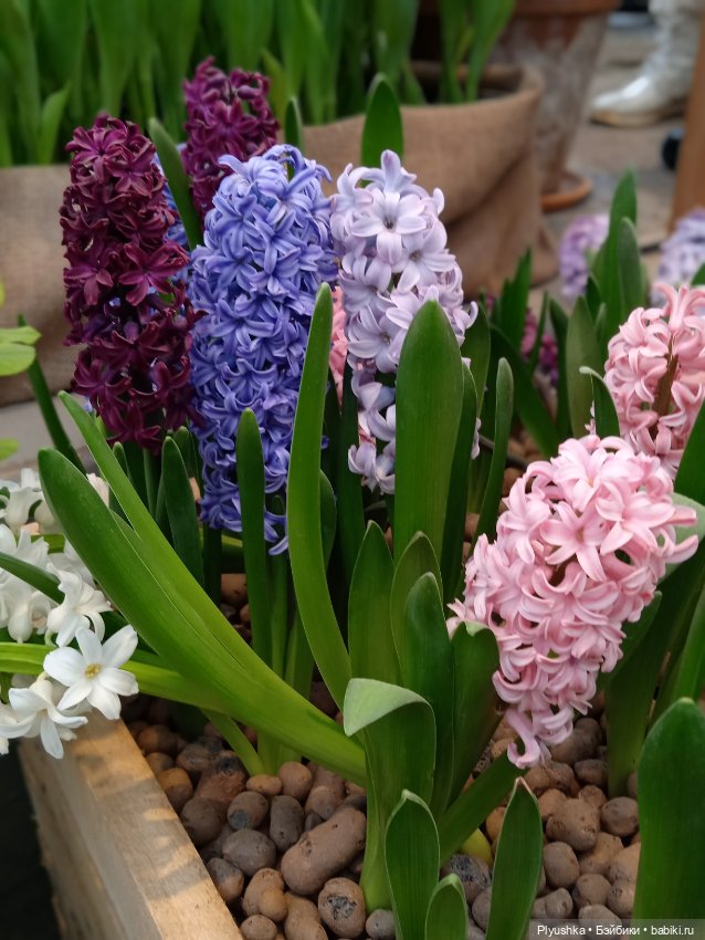 Репетиция весны с Асей — Российские куклы Весна (фото 4)