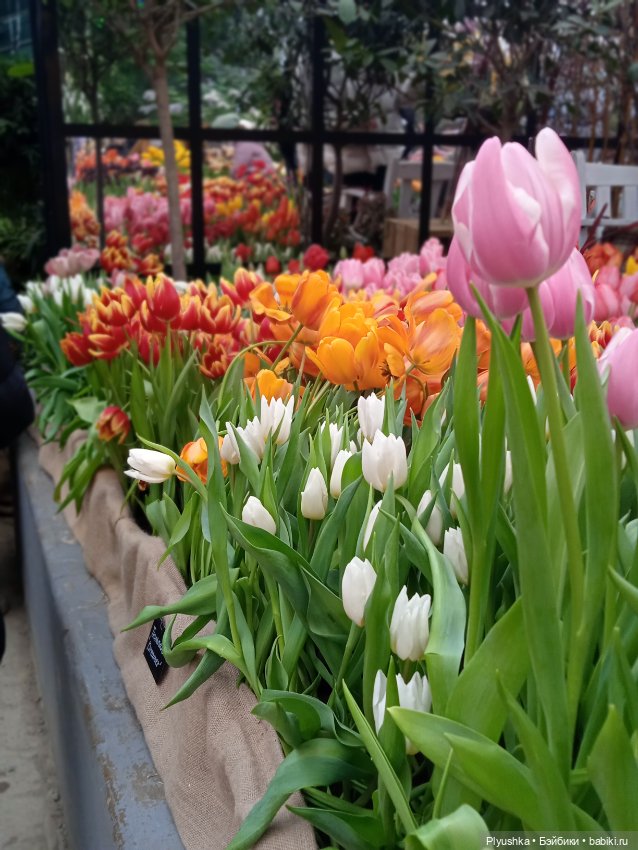 Репетиция весны с Асей — Российские куклы Весна