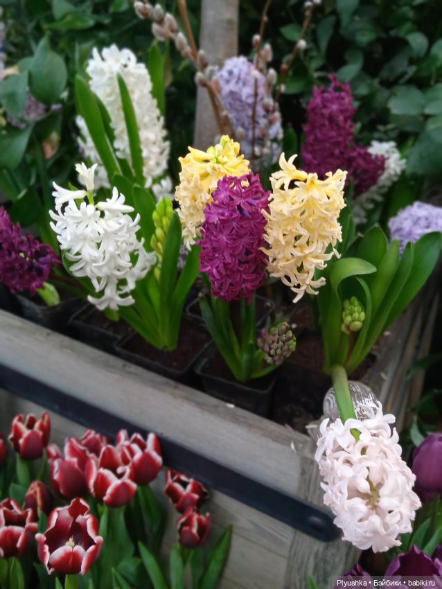 Репетиция весны с Асей — Российские куклы Весна (фото 5)