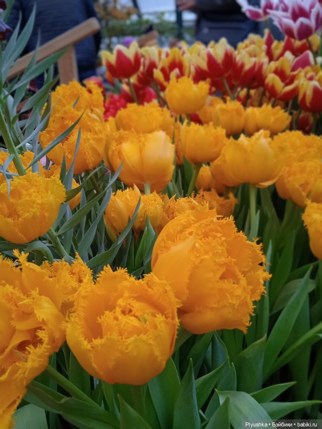 Репетиция весны с Асей — Российские куклы Весна