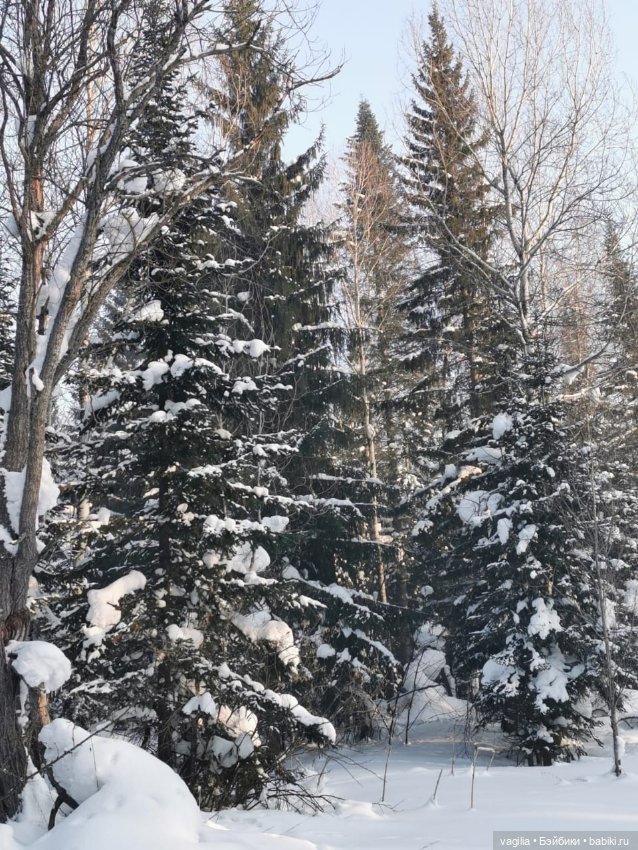 Последние красоты зимы — Красивая природа и цветы: фото пейзажей (фото 9)