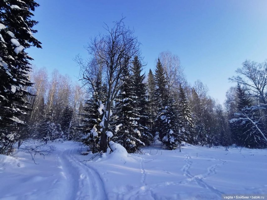 Последние красоты зимы — Красивая природа и цветы: фото пейзажей (фото 10)