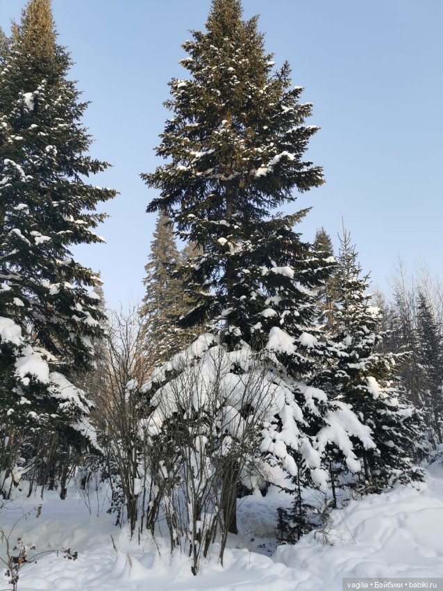 Последние красоты зимы — Красивая природа и цветы: фото пейзажей (фото 3)