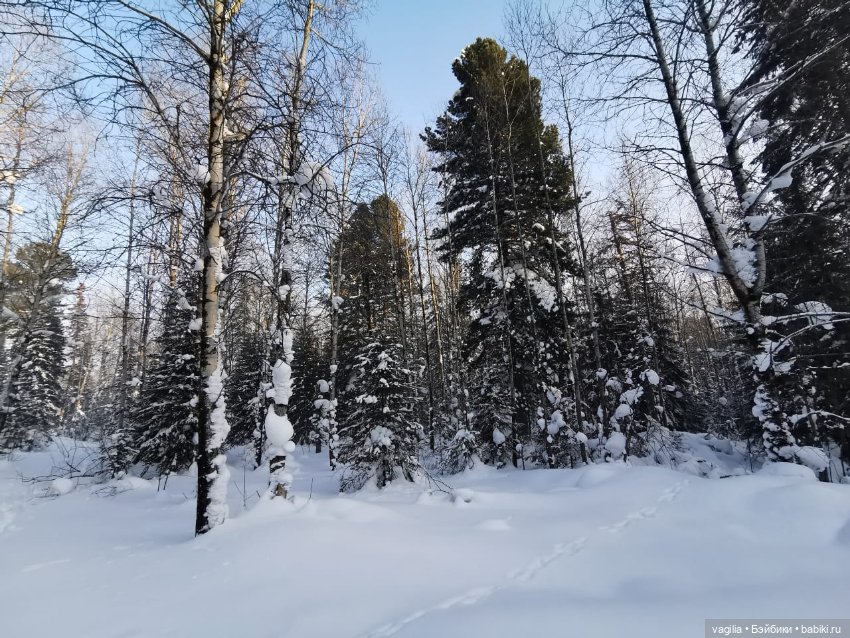 Последние красоты зимы — Красивая природа и цветы: фото пейзажей