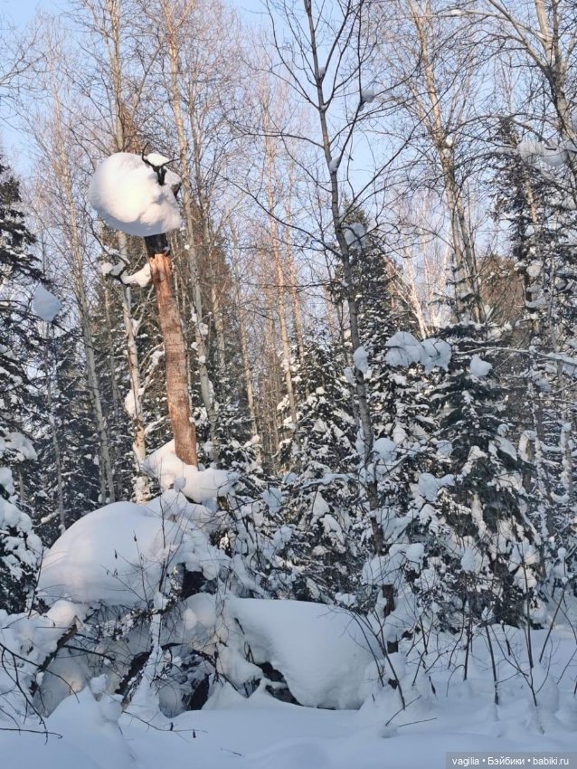 Последние красоты зимы — Красивая природа и цветы: фото пейзажей