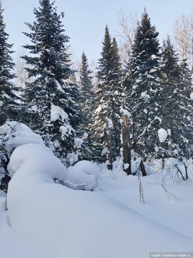 Последние красоты зимы — Красивая природа и цветы: фото пейзажей