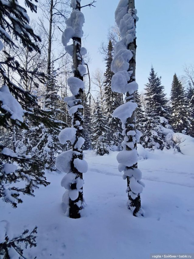 Последние красоты зимы — Красивая природа и цветы: фото пейзажей