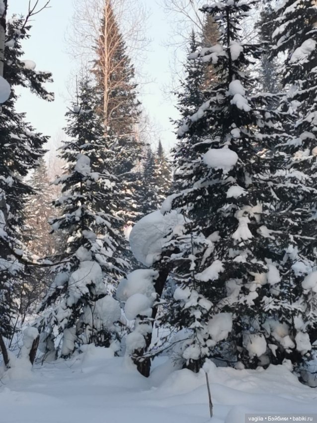 Последние красоты зимы — Красивая природа и цветы: фото пейзажей