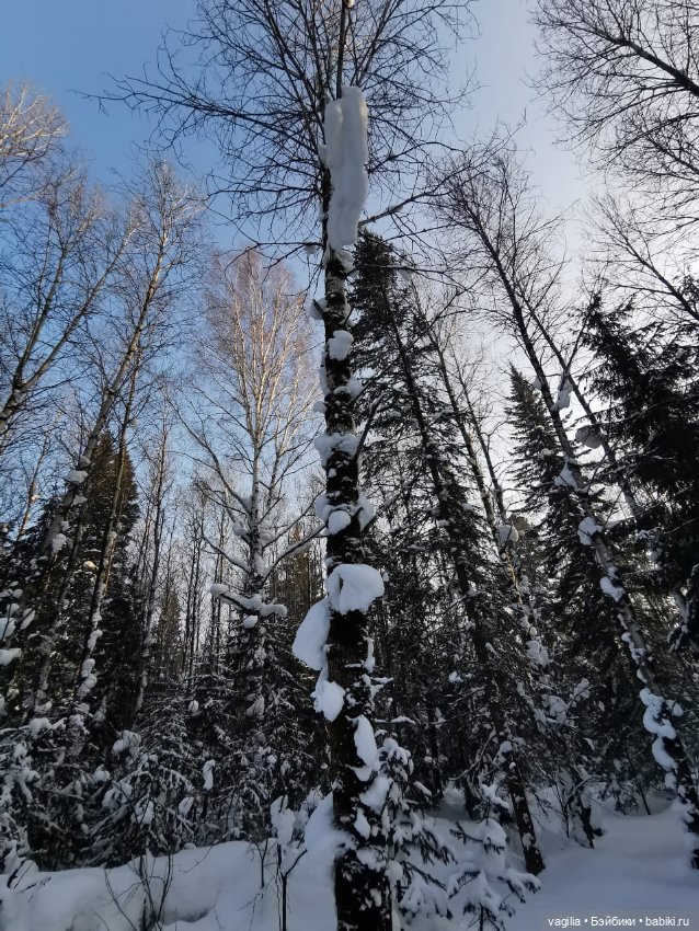 Последние красоты зимы — Красивая природа и цветы: фото пейзажей