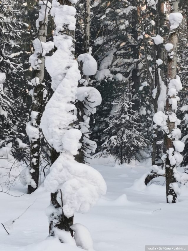 Последние красоты зимы — Красивая природа и цветы: фото пейзажей