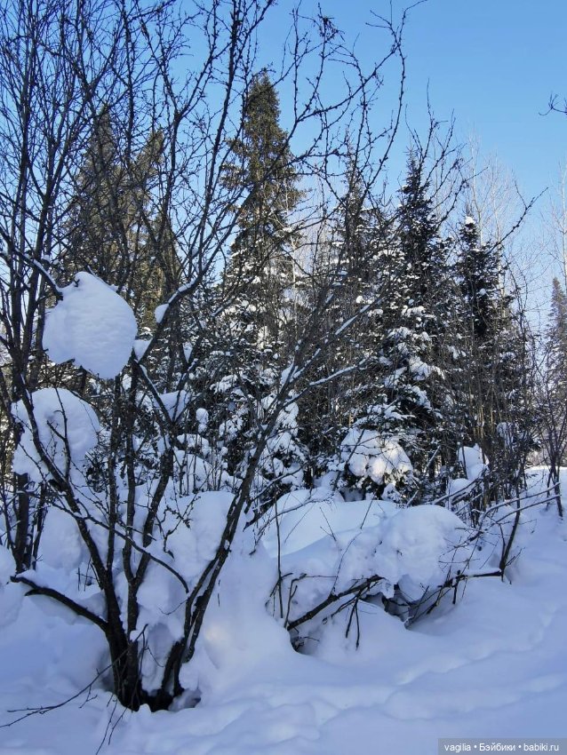 Последние красоты зимы — Красивая природа и цветы: фото пейзажей (фото 5)