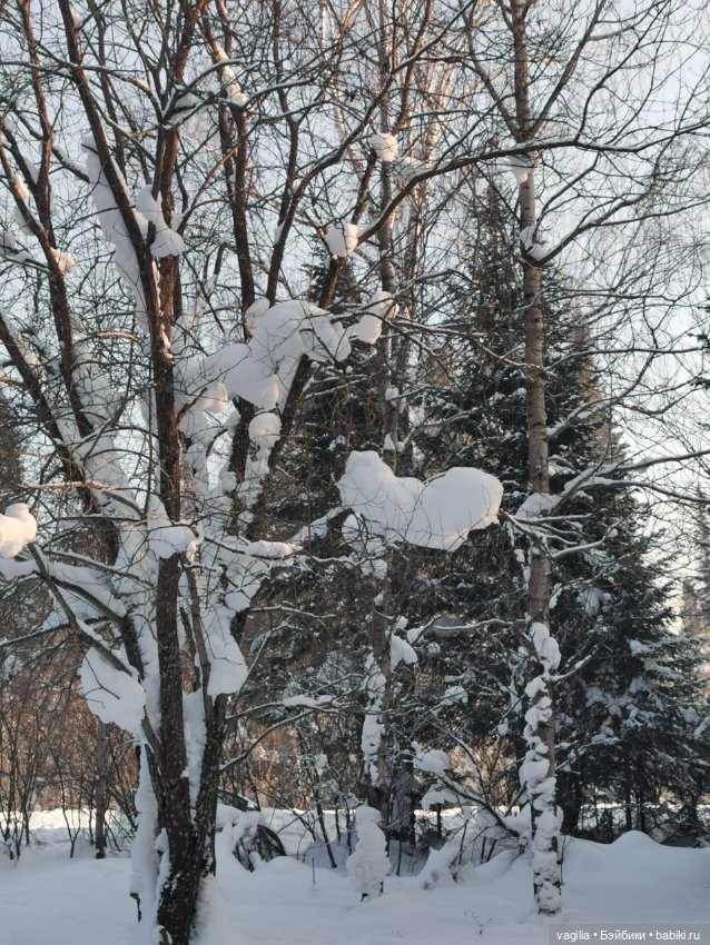 Последние красоты зимы — Красивая природа и цветы: фото пейзажей (фото 4)