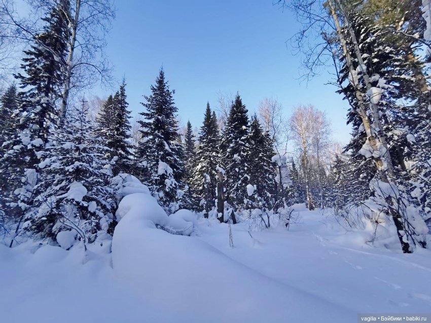 Последние красоты зимы — Красивая природа и цветы: фото пейзажей