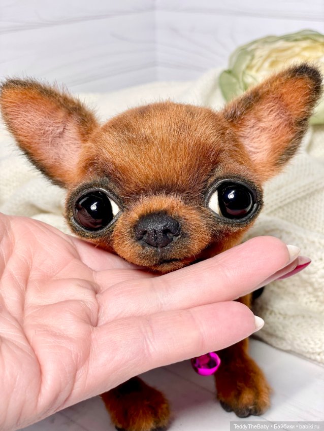 Фиби 🐶🐾 — Реалистичные игрушки и звери (Натюр): собаки