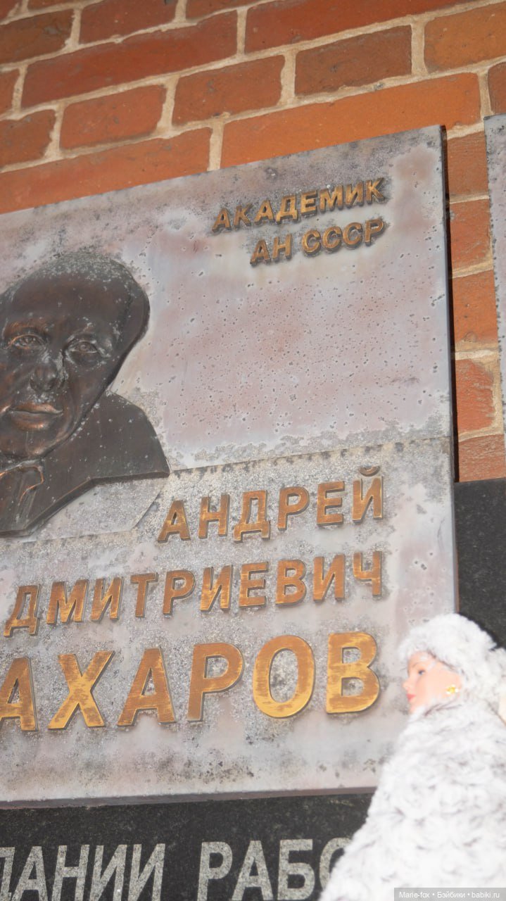 По Сеньке шапка: Арсения гуляет по заснеженному Сарову