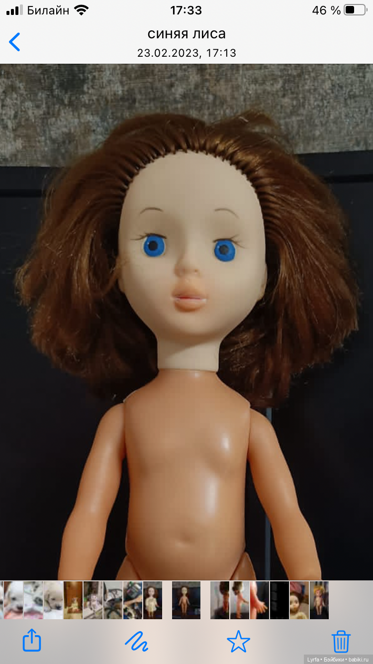 Никогда такого не было и вот опять… Помогите опознать