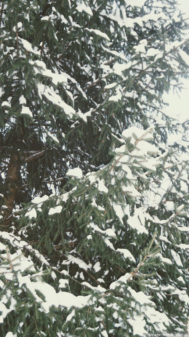 Укутыши: В шубе, в шапке, в душегрейке. Часть 2