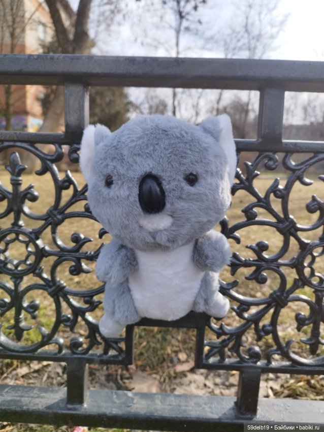 У Веры новая игрушка - милый австралийский медвежонок коала (фото 3)