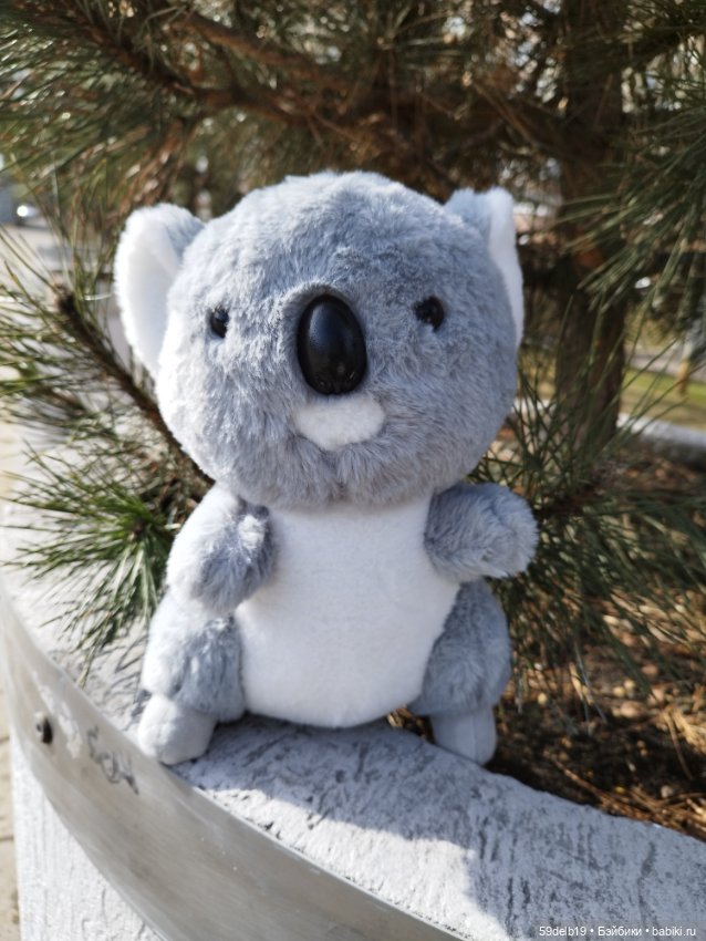 У Веры новая игрушка - милый австралийский медвежонок коала (фото 2)