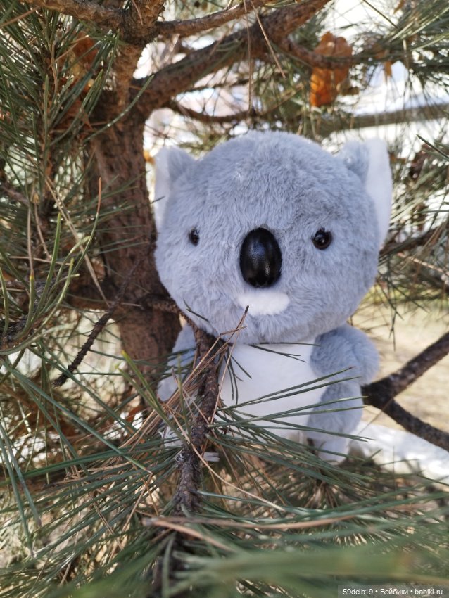 У Веры новая игрушка - милый австралийский медвежонок коала (фото 4)