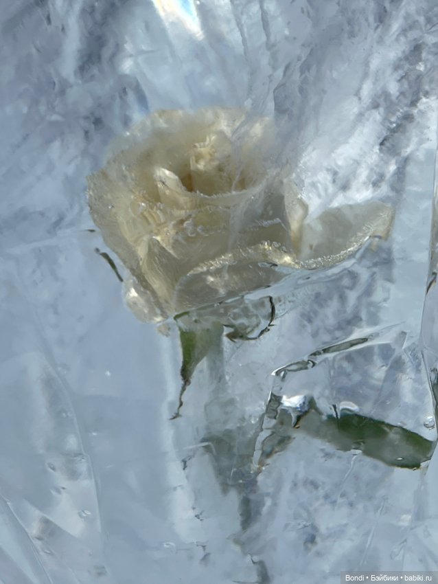 Прогулка на о.Байкал пос. Листвянка