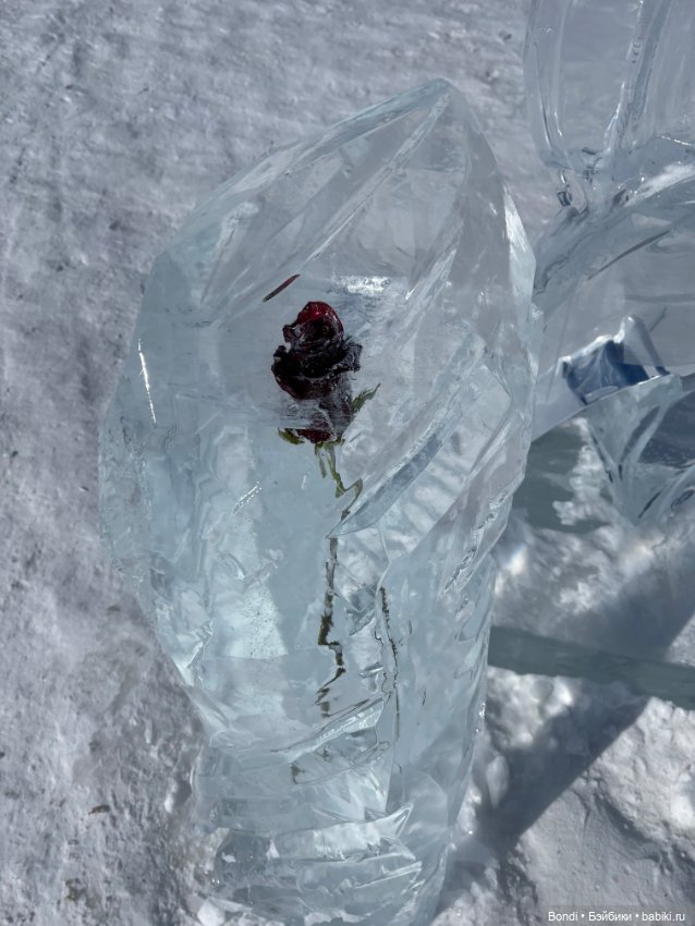 Прогулка на о.Байкал пос. Листвянка