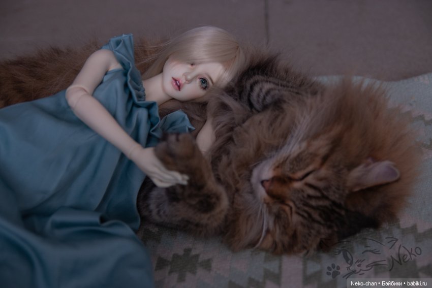 Челлендж "52 недели - 52 фотосета" Неделя 5 (фото 8)