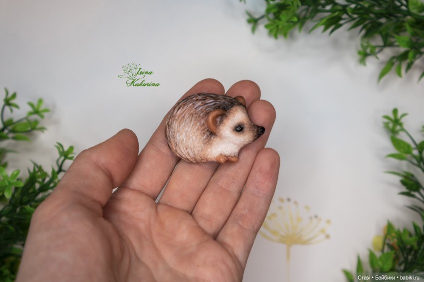 Утро начинается не с кофе... а с ёжиков (фото 3)