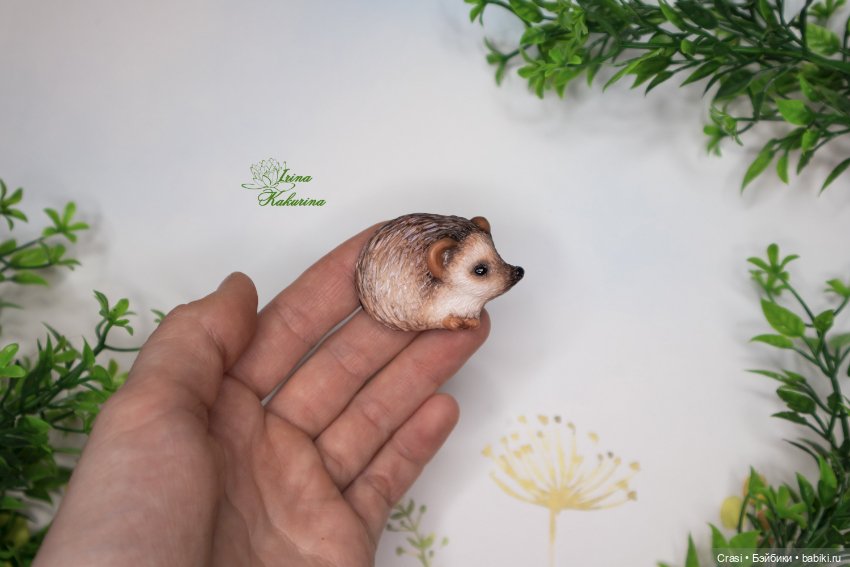 Утро начинается не с кофе... а с ёжиков (фото 4)