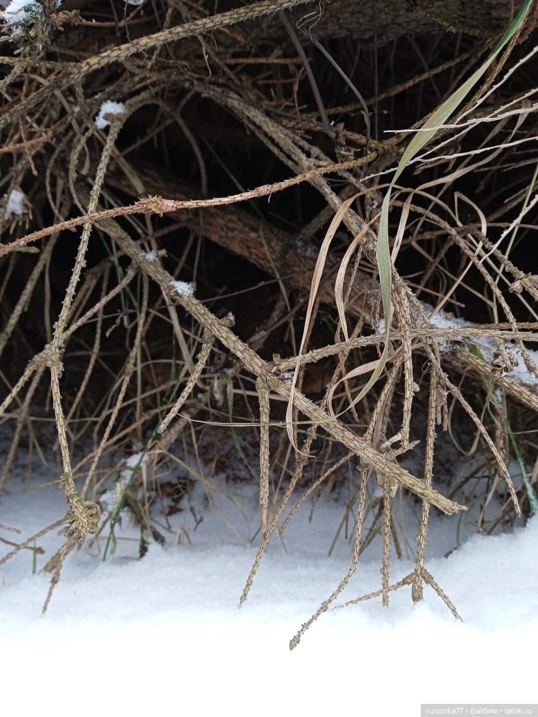 Кира фабрики Кругозор в образе северяночки Рубрика Генералы песчаных карьеров