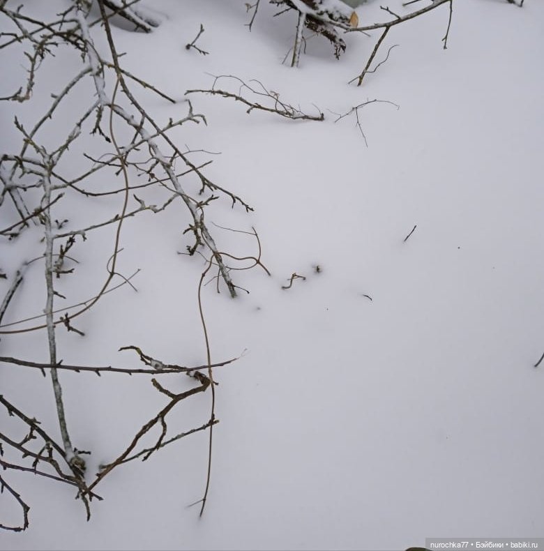 Кира фабрики Кругозор в образе северяночки Рубрика Генералы песчаных карьеров