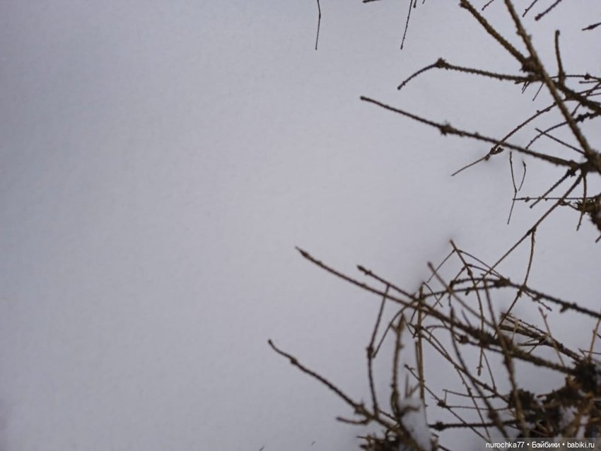 Кира фабрики Кругозор в образе северяночки Рубрика Генералы песчаных карьеров