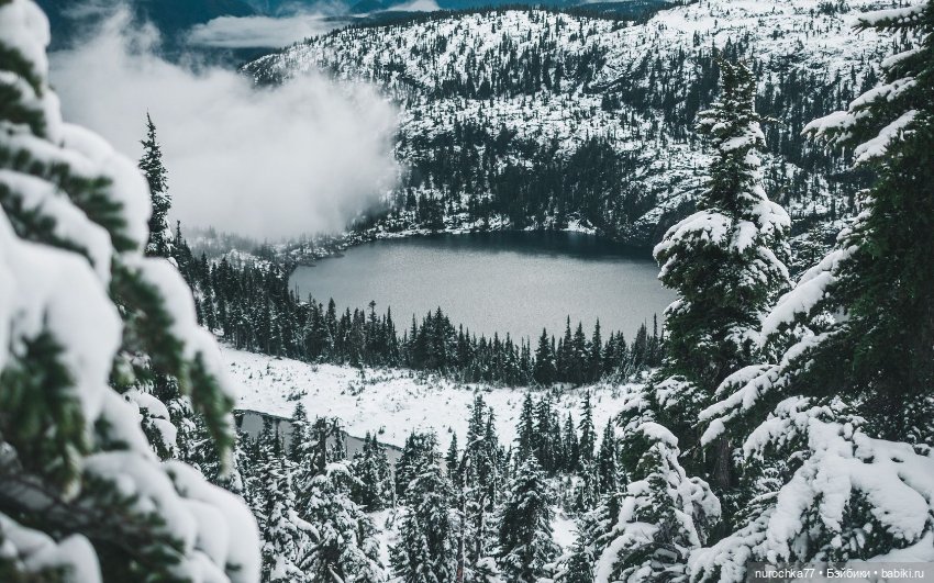 Сердце Шамана. Рубрика Генералы песчаных карьеров