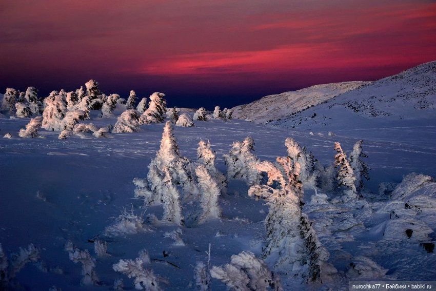 Сердце Шамана. Рубрика Генералы песчаных карьеров