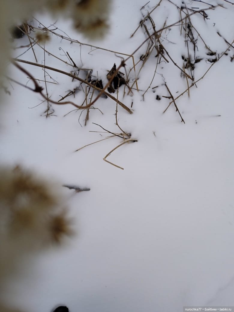 Сердце Шамана. Рубрика Генералы песчаных карьеров